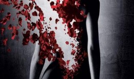 电影香水手机在线观看,探寻神秘香氛背后的传奇故事