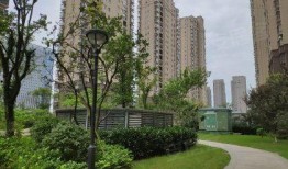 吃瓜翰林府最新事件爆料