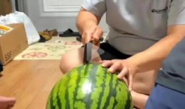 吃瓜现场大全视频播放免费观看,吃瓜现场大全视频，带你领略娱乐圈风云变幻